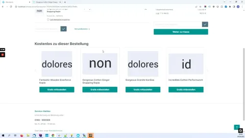 Standbild aus dem Video-Tutorial: Warenkorb eines Shops mit dem Bereich für kostenlose Prämienartikel.